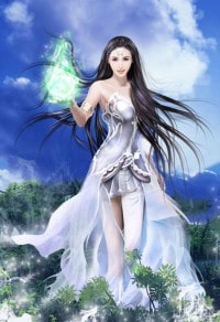 女總裁的王牌高手
