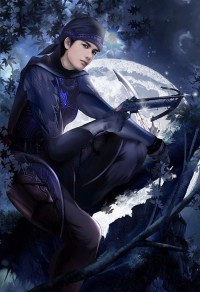 无尽剑装