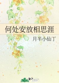 何处安放相思涯